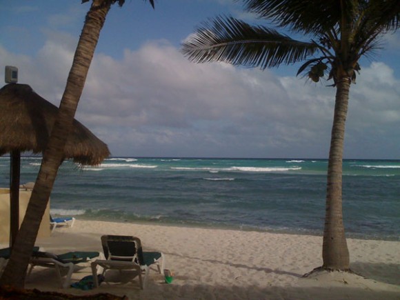 view
